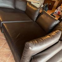 2 divani extra large