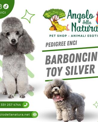 Barboni Toy Silver Pedigree ENCI