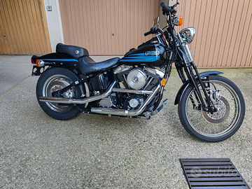 Harley davidson bad boy