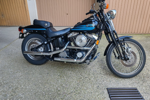 Harley davidson bad boy