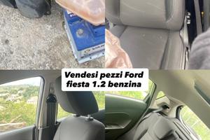 pezzi Ford fiesta 1.2 benzina