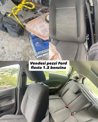 pezzi Ford fiesta 1.2 benzina