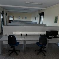 FALL. 1/2023 Trib Patti - LOTTO 1