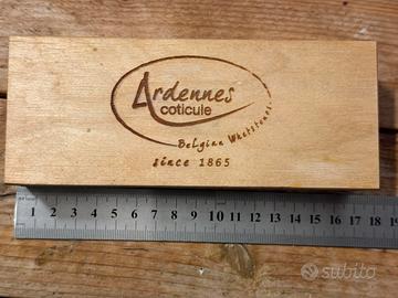 Pietra Belga Gialla Ardeennes con Custodia