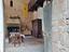 Immagine 18