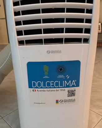Condizionatore portatile