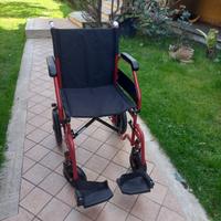 Sedia a rotelle ardea go