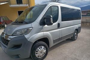 Pulmino 9 posti Citroen Jumper