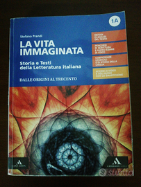 La vita immaginata vol 1A +1B+ MAPPE +ESAME