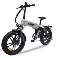 BICI ELETTRICA LEM DALLAS LUXURY 250W 48V D. AMMOR