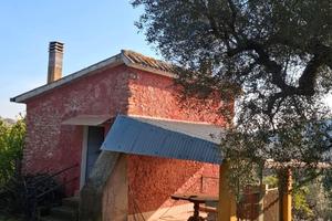 Terreno con uliveto Palombara Sabina