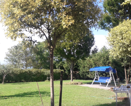3 terreni agricoli a Lido di Classe