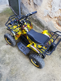 Quad elettrico