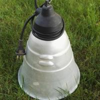 Lampada infrarossi per animali