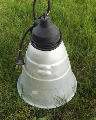 Lampada infrarossi per animali