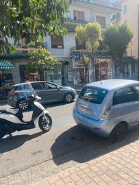 Attività commerciale