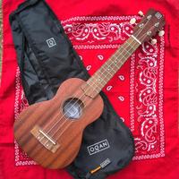 OQAN Quk-10S Soprano + custodia