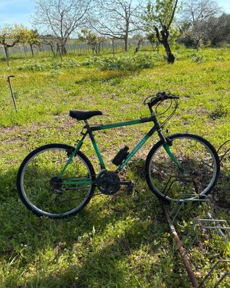 Bicicletta