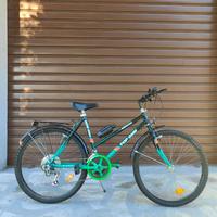 Mountain Bike Top Gun Cambio Shimano