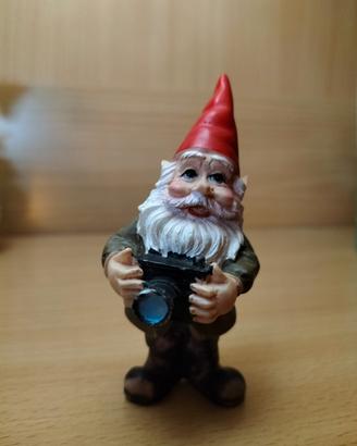 Statua gnometto con camera fotografica 
