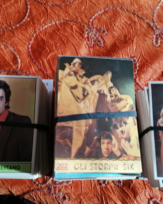 Cantanti panini
