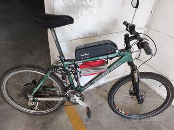 Bici elettrica