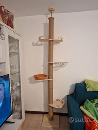 albero tiragraffi 