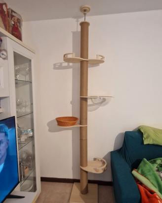 albero tiragraffi 