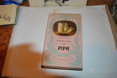 INTRODUZIONE ALLA PIPA