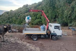 Nissan L35 - ecoT100