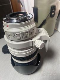 Canon 28-300 is