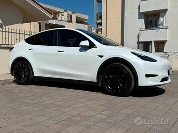 Tesla model Y  Rwd