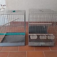 gabbia o trasportino per pappagalli 