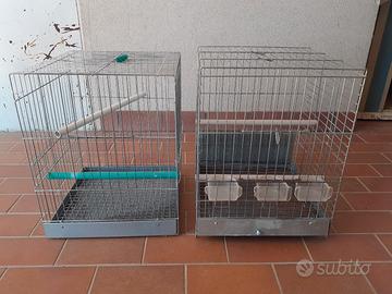 gabbia o trasportino per pappagalli 