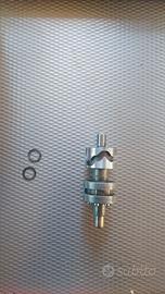 Desmo cambio Minarelii p6