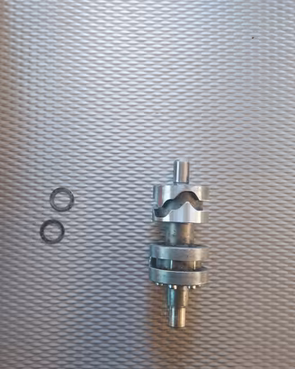 Desmo cambio Minarelii p6