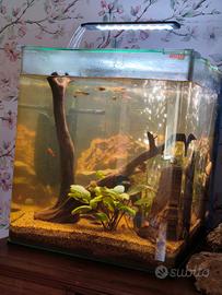 acquario 60 litri completo 