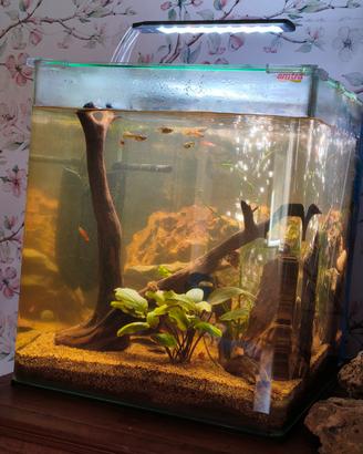 acquario 60 litri completo 