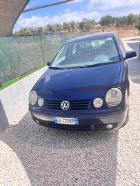 Volkswagen Polo.