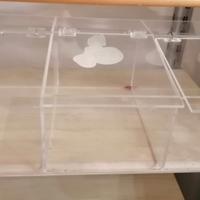 contenitore in plexiglass