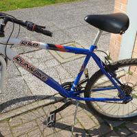 Bicicletta Mountain Bike