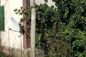 Sezze - Rif. ASTA6176