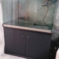 Acquario 