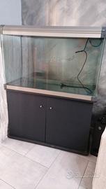 Acquario 