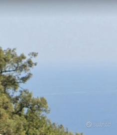 Terreno agricolo a Pollina