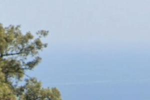 Terreno agricolo a Pollina