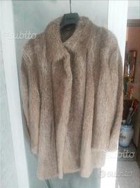 Pelliccia di castoro