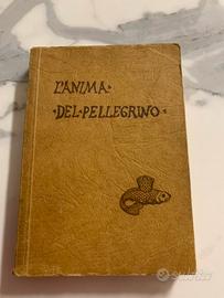 L’anima del pellegrino - Don Paolo Liggeri