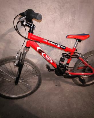 Bicicletta da ragazzino