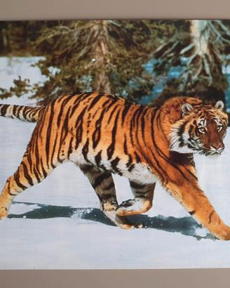 Poster Tigre distributori Esso